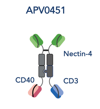 APVO451
