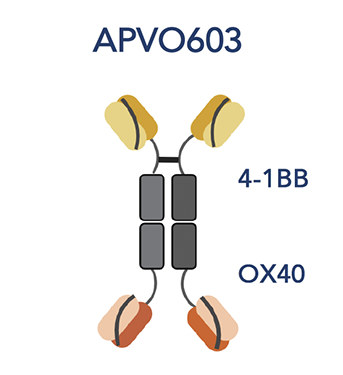 APVO633
