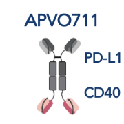 APV0711