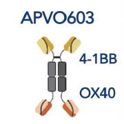 APVO603-1